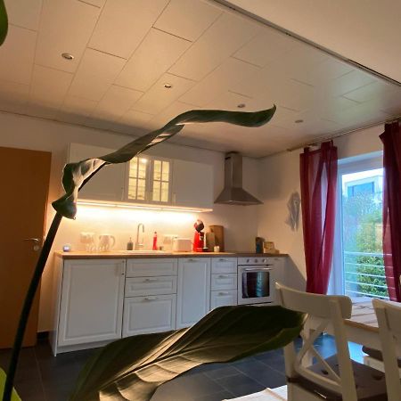 Moderne Ferienwohnung Seeblick Freudenberg  Exterior photo