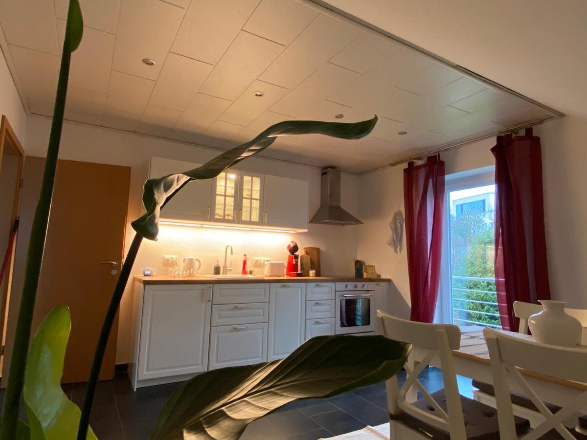 Moderne Ferienwohnung Seeblick Freudenberg  Exterior photo